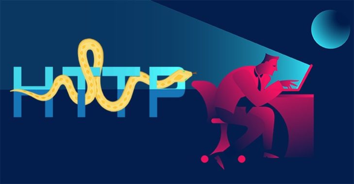 HTTP Requests in Python (Anfänger-Tutorial)
