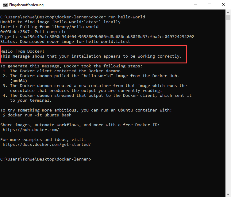 docker run helloworld container