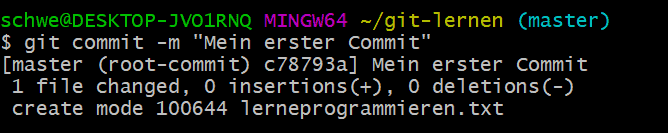 git commit