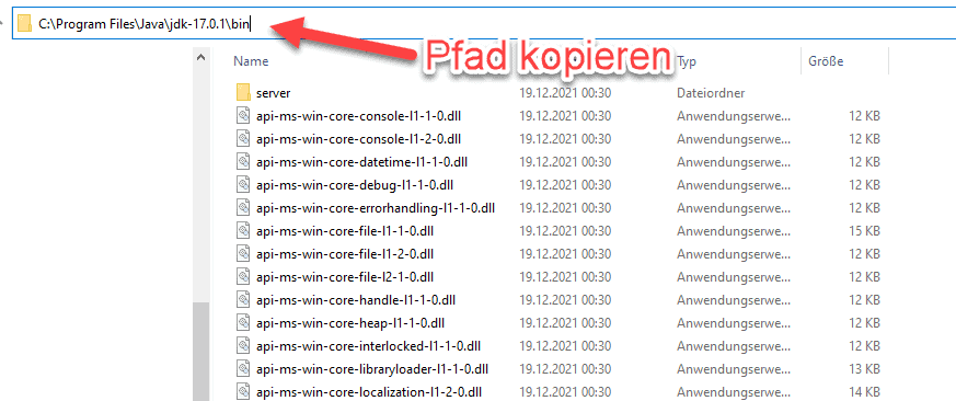 java installation pfad kopieren