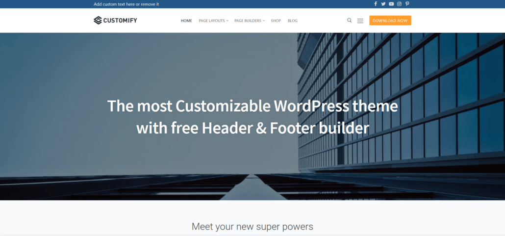 wp theme customify